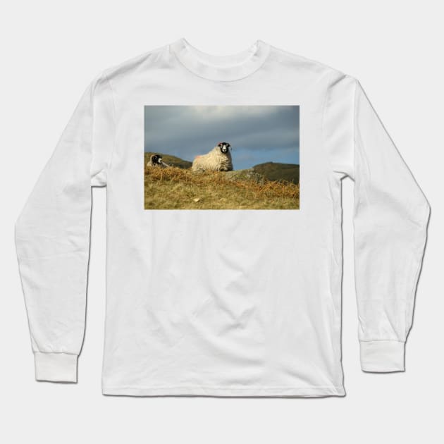 Swaledales Long Sleeve T-Shirt by StephenJSmith